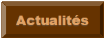 Rectangle : en biseau: Actualits