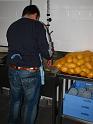 IMG_9587