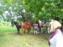 20130622_154607