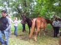 20130622_154726