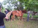 20130622_155239