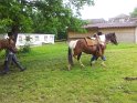 20130622_155755