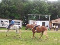 20130622_160947